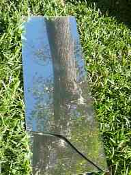 mirror-cracked-tree-reflection1