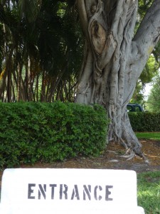 entrance-sign-with-tree