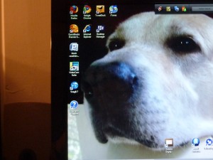 Sparky on My Computer Desktop